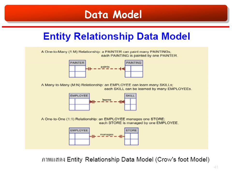 Data Model 41