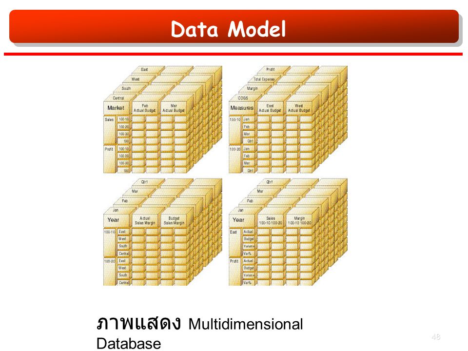 Data Model ภาพแสดง Multidimensional Database 48