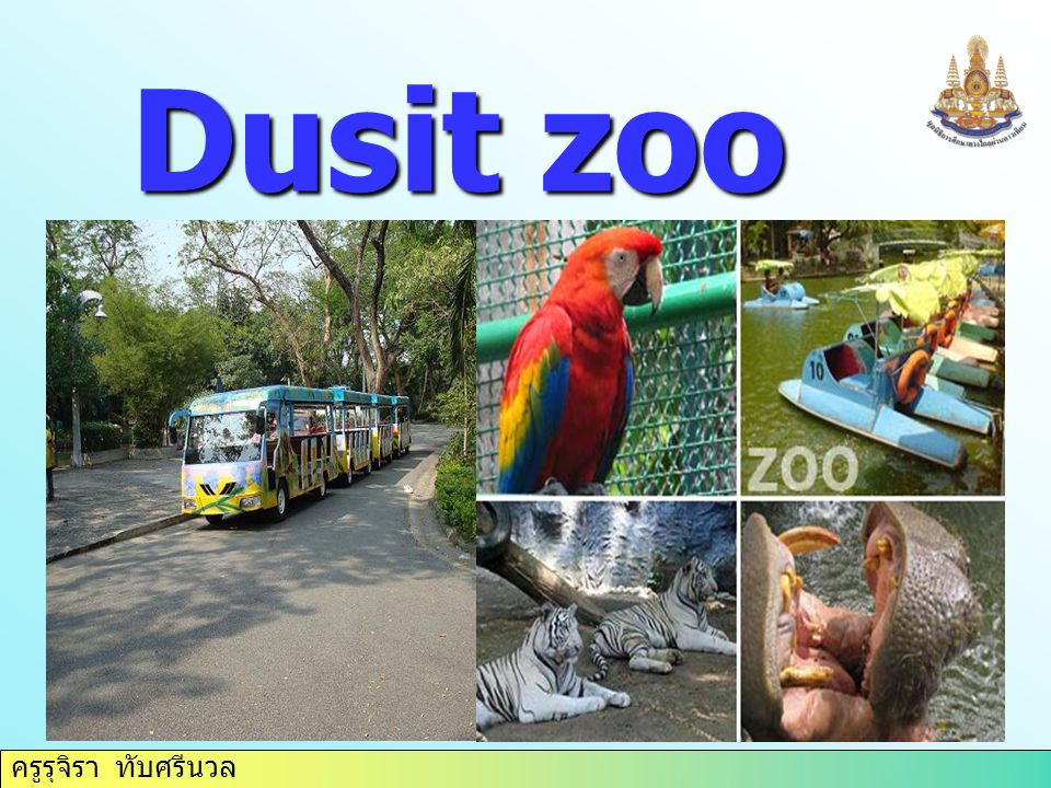 ครูรุจิรา ทับศรีนวล Dusit zoo
