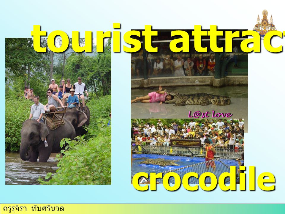 tourist attraction crocodile farm