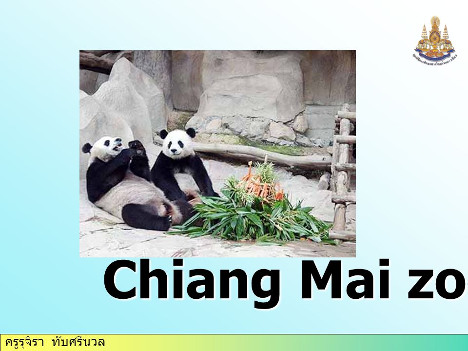 ครูรุจิรา ทับศรีนวล Chiang Mai zoo