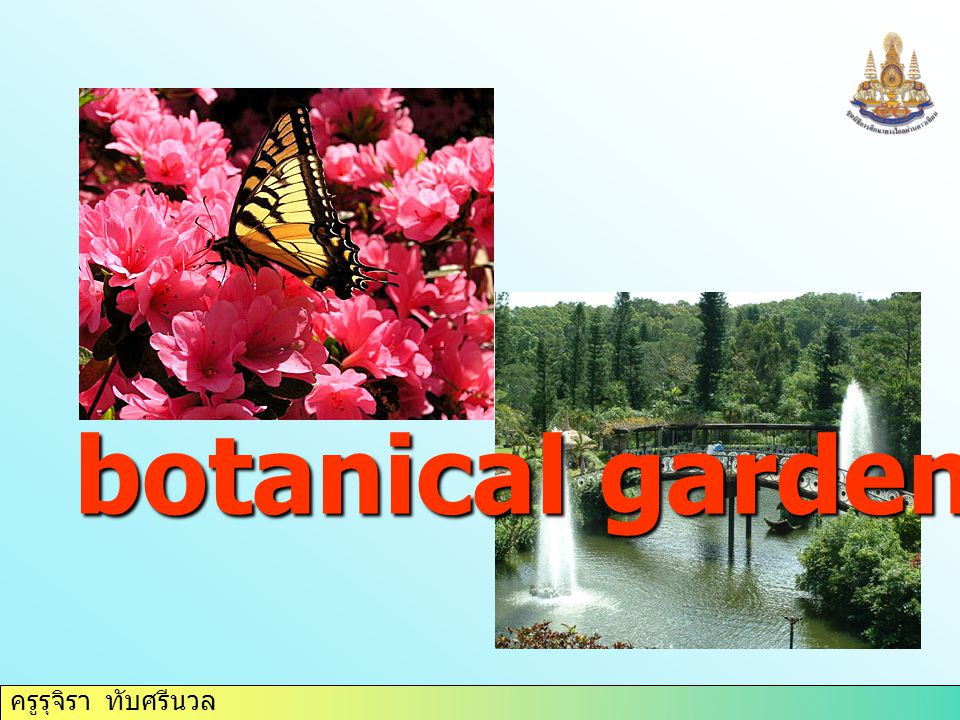 ครูรุจิรา ทับศรีนวล botanical garden