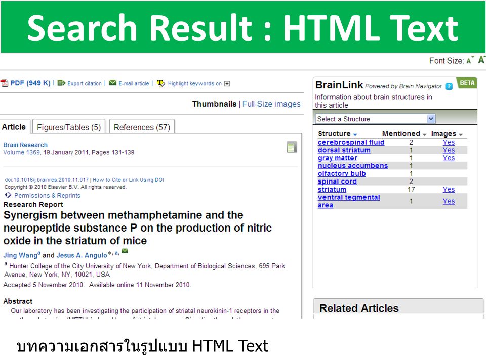 Search Result : HTML Text บทความเอกสารในรูปแบบ HTML Text
