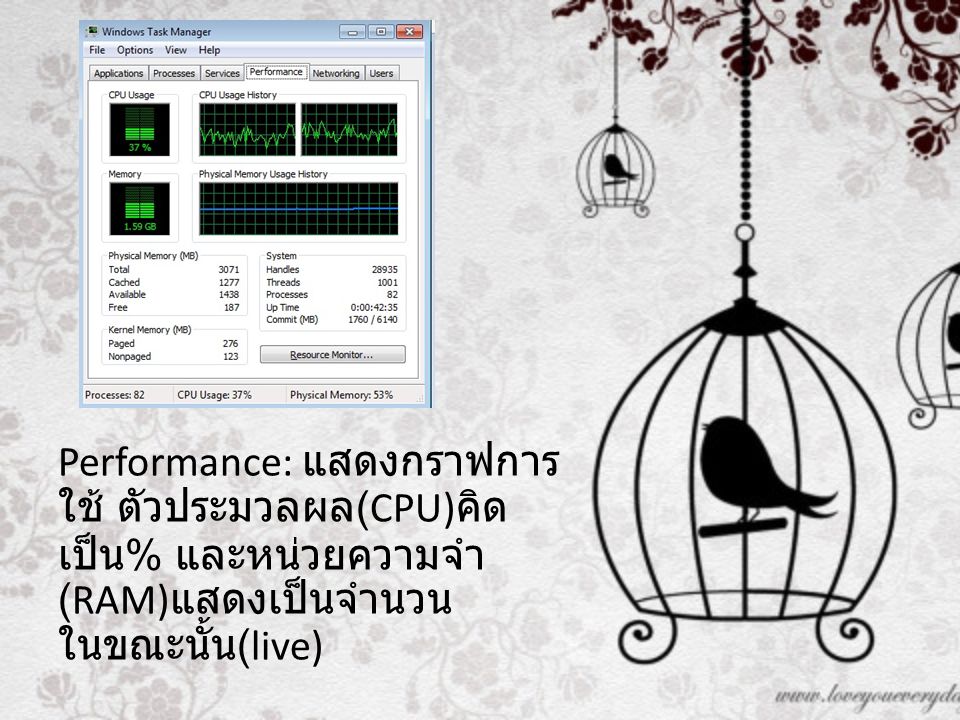 Performance: แสดงกราฟการ ใช้ ตัวประมวลผล (CPU) คิด เป็น % และหน่วยความจำ (RAM) แสดงเป็นจำนวน ในขณะนั้น (live)