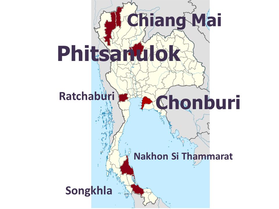Songkhla Chonburi Phitsanulok Ratchaburi Chiang Mai Nakhon Si Thammarat