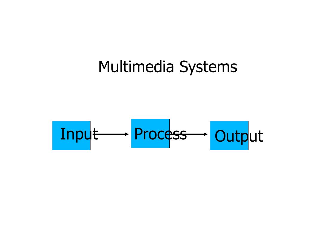 Multimedia Systems Input ProcessOutput