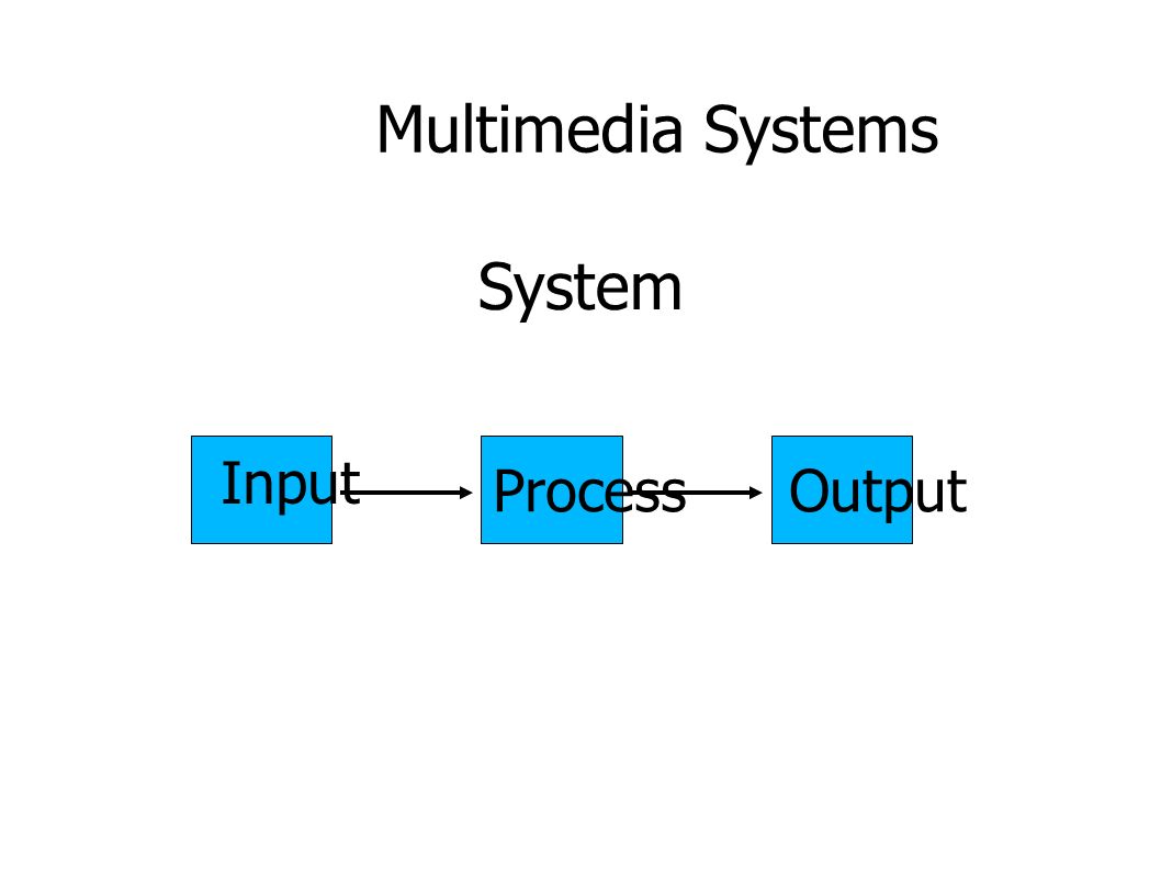 Multimedia Systems Input ProcessOutput System