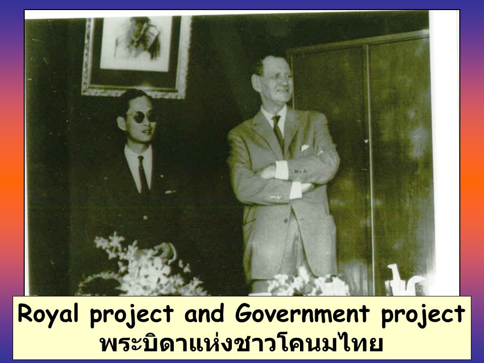 Royal project and Government project พระบิดาแห่งชาวโคนมไทย