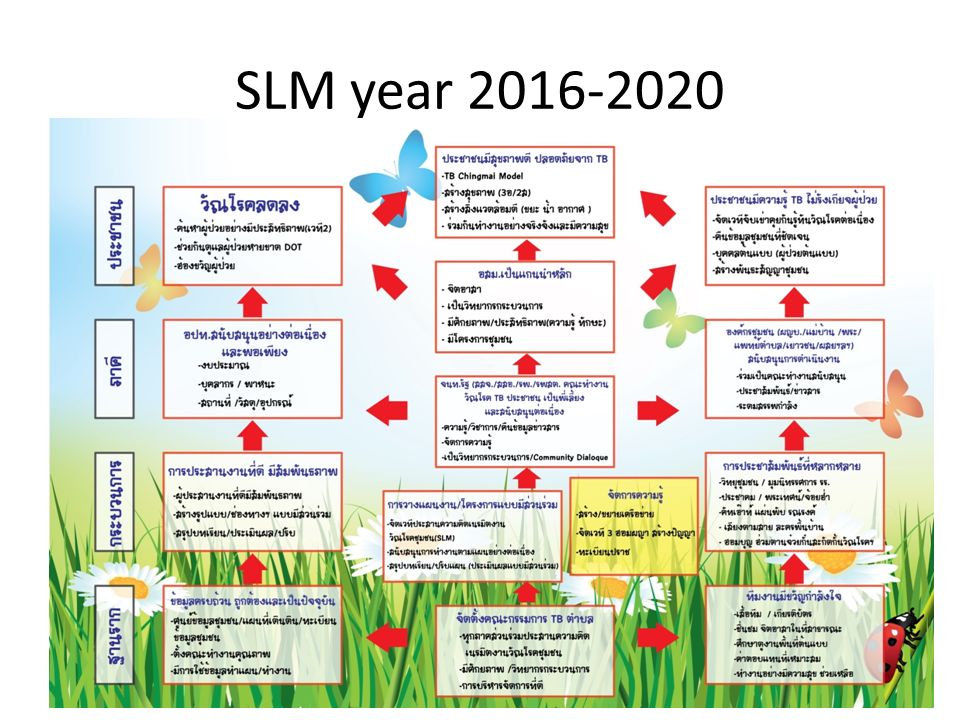 SLM year