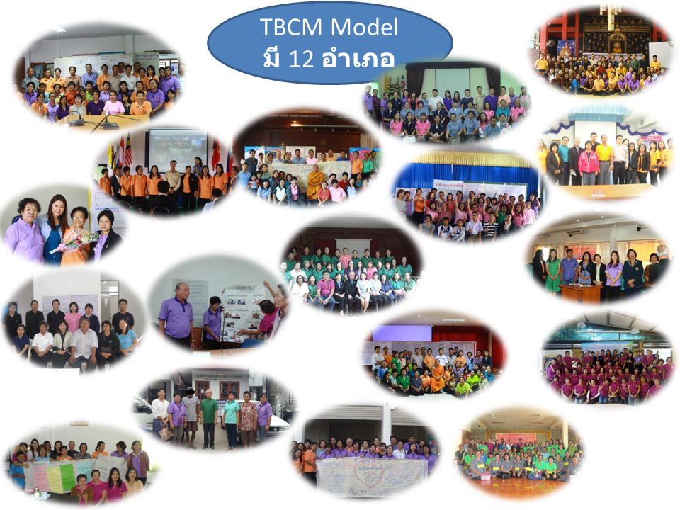TBCM Model มี 12 อำเภอ