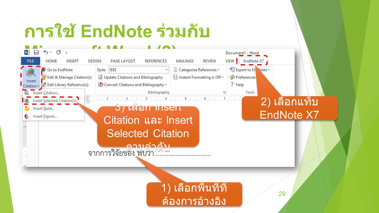 microsoft word endnote x7