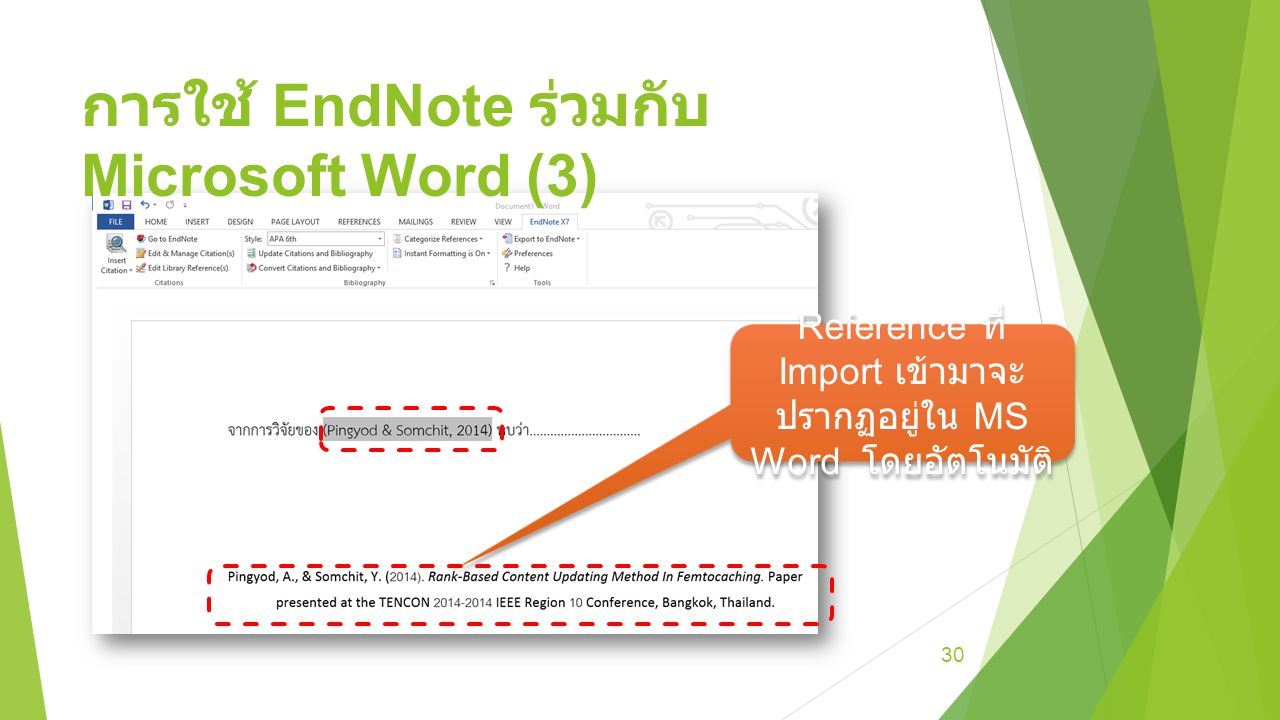 การใช้ EndNote ร่วมกับ Microsoft Word (3) 30 Reference ที่ Import เข้ามาจะ ปรากฏอยู่ใน MS Word โดยอัตโนมัติ