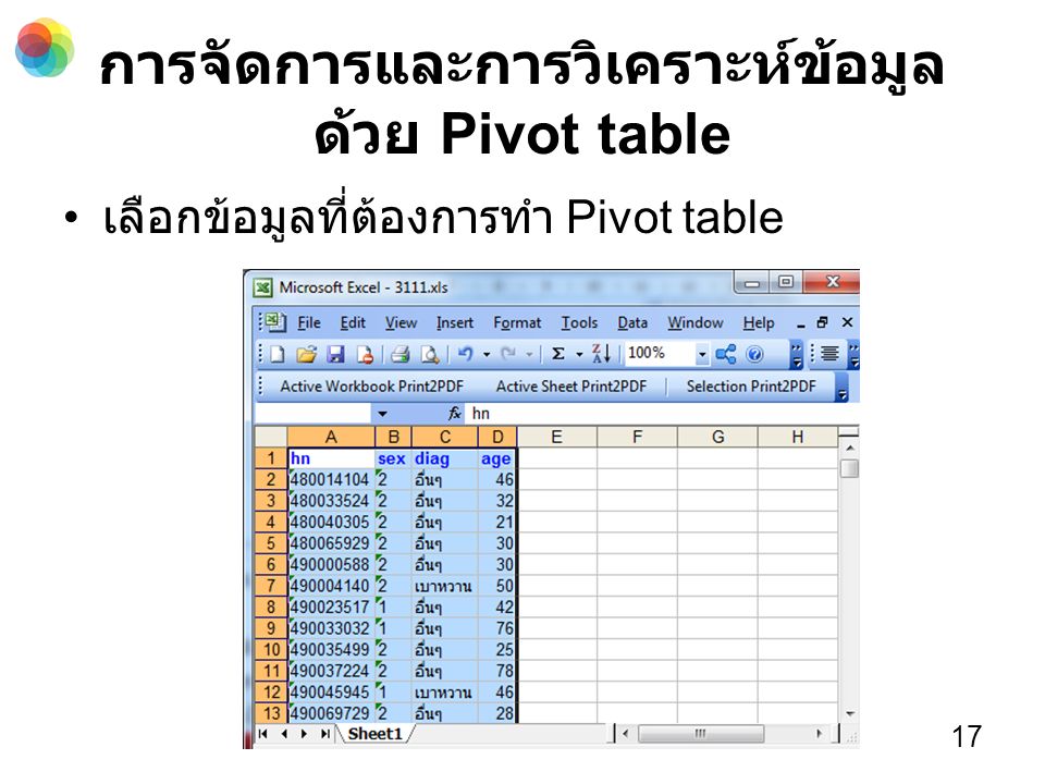 การจัดการและการวิเคราะห์ข้อมูล ด้วย Pivot table เลือกข้อมูลที่ต้องการทำ Pivot table 17