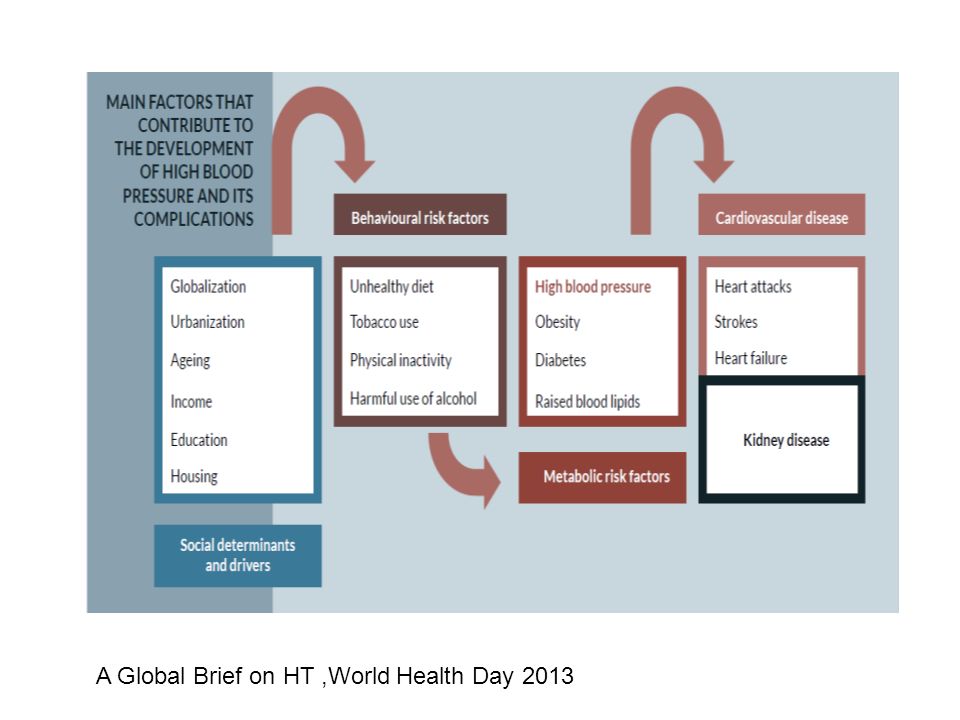 A Global Brief on HT,World Health Day 2013