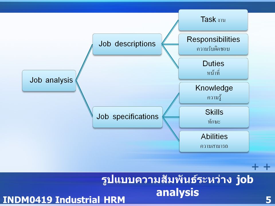 INDM0419 Industrial HRM5 รูปแบบความสัมพันธ์ระหว่าง job analysis Job descriptions และ Job specifications