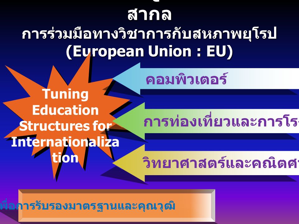 การเทียบเคียง TQF ในระดับสากล สากล การร่วมมือทางวิชาการกับสหภาพยุโรป (European Union : EU) Tuning Education Structures for Internationaliza tion เพื่อการรับรองมาตรฐานและคุณวุฒิ คอมพิวเตอร์ การท่องเที่ยวและการโรงแรม วิทยาศาสตร์และคณิตศาสตร์