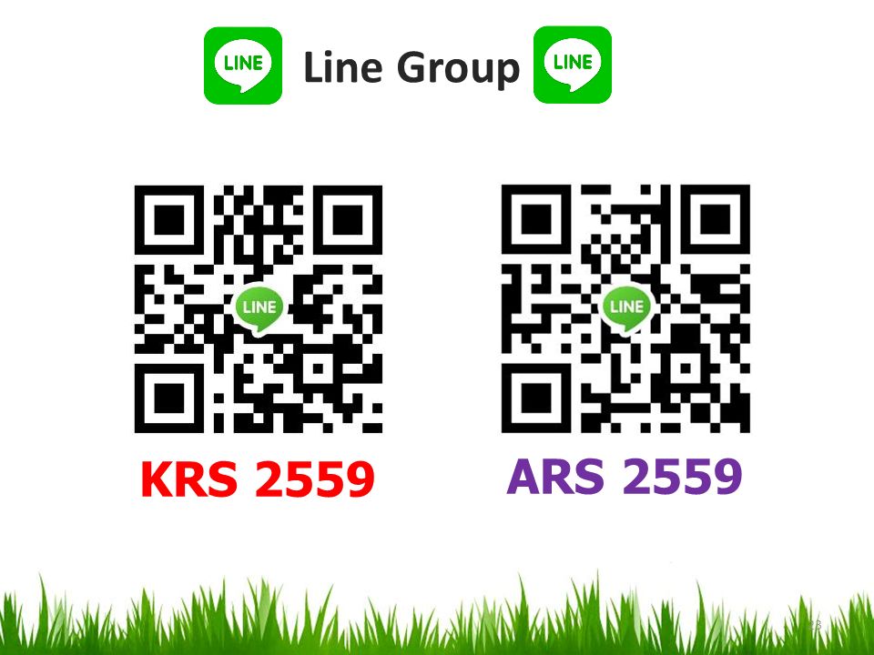23 Line Group KRS 2559 ARS 2559