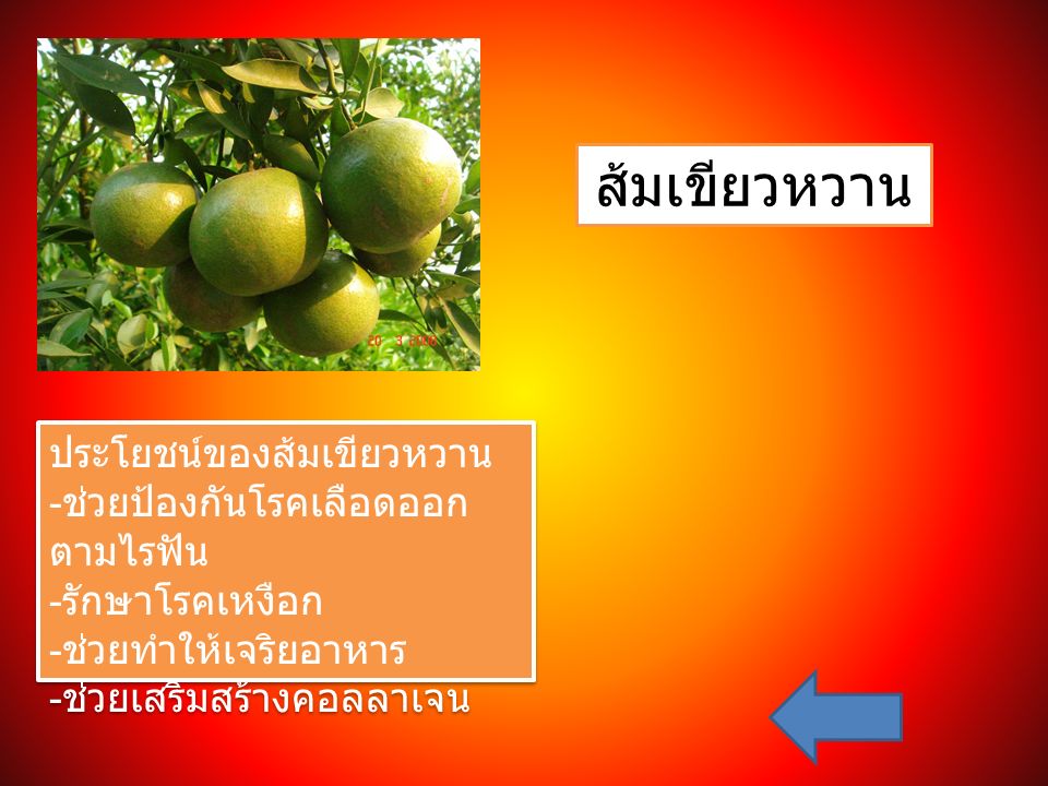 ส้มเขียวหวาน ประโยชน์ของส้มเขียวหวาน - ช่วยป้องกันโรคเลือดออก ตามไรฟัน - รักษาโรคเหงือก - ช่วยทำให้เจริยอาหาร - ช่วยเสริมสร้างคอลลาเจน ประโยชน์ของส้มเขียวหวาน - ช่วยป้องกันโรคเลือดออก ตามไรฟัน - รักษาโรคเหงือก - ช่วยทำให้เจริยอาหาร - ช่วยเสริมสร้างคอลลาเจน