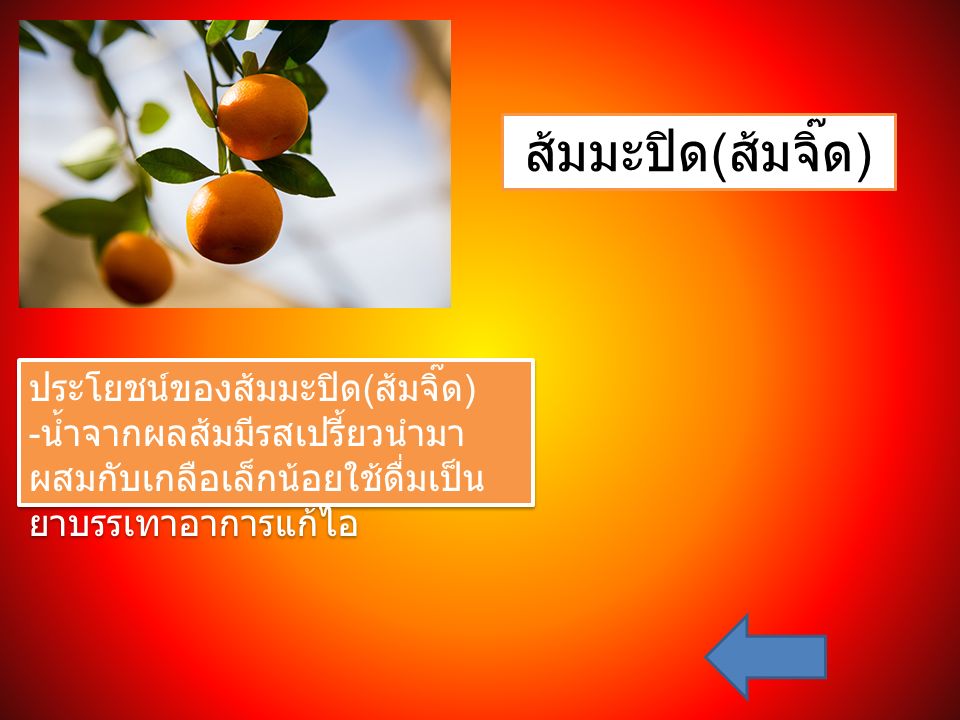 ส้มมะปิด ( ส้มจิ๊ด ) ประโยชน์ของส้มมะปิด ( ส้มจิ๊ด ) - น้ำจากผลส้มมีรสเปรี้ยวนำมา ผสมกับเกลือเล็กน้อยใช้ดื่มเป็น ยาบรรเทาอาการแก้ไอ ประโยชน์ของส้มมะปิด ( ส้มจิ๊ด ) - น้ำจากผลส้มมีรสเปรี้ยวนำมา ผสมกับเกลือเล็กน้อยใช้ดื่มเป็น ยาบรรเทาอาการแก้ไอ