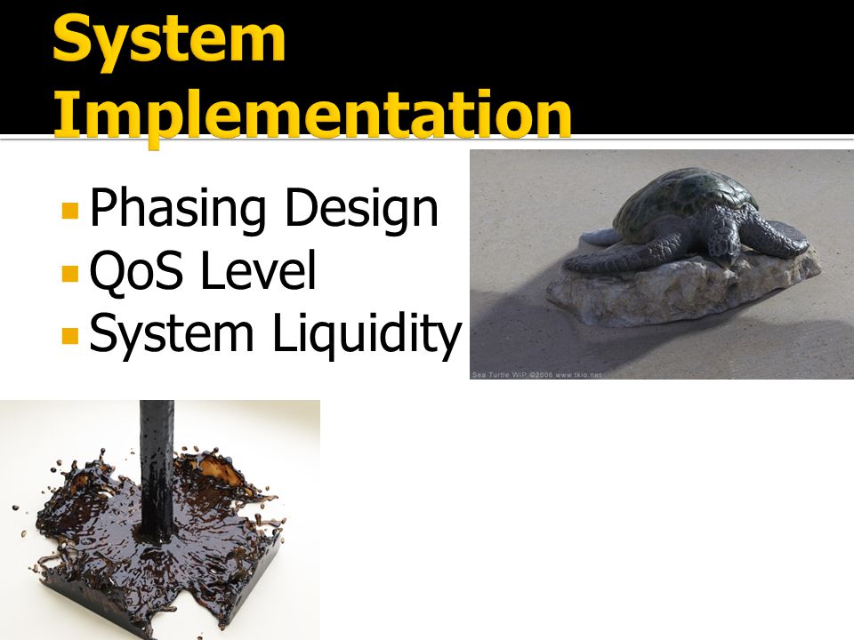 Mini MIS  Phasing Design  QoS Level  System Liquidity