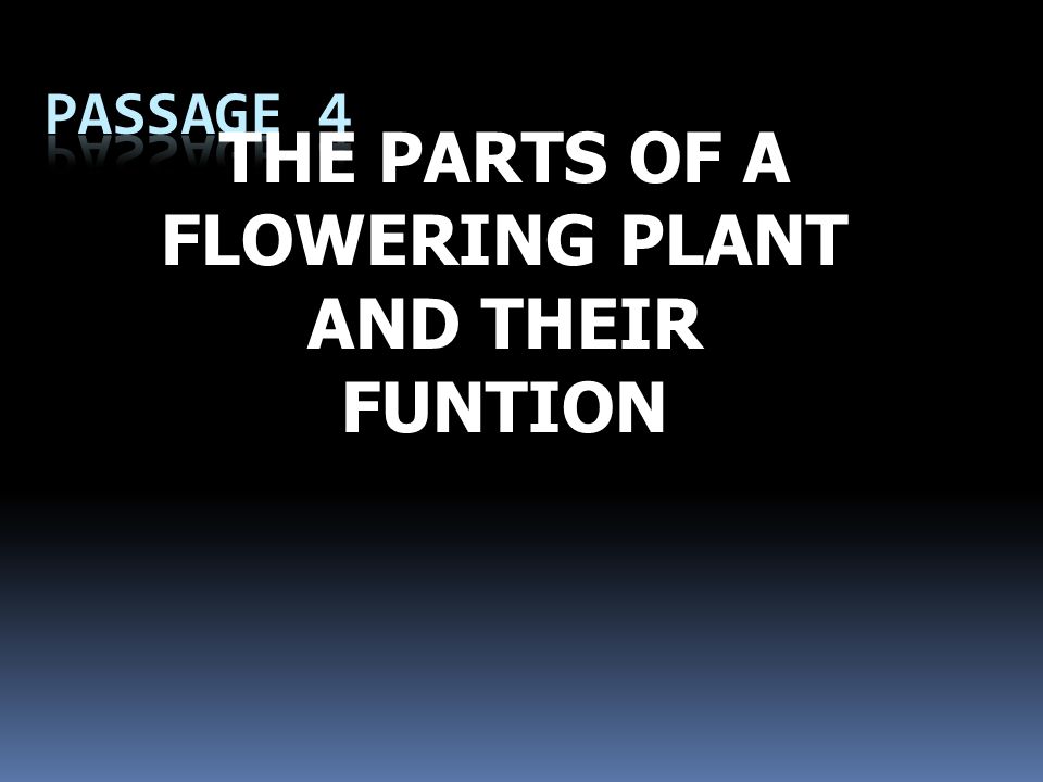 THE PARTS OF A FLOWERING PLANT AND THEIR FUNTION