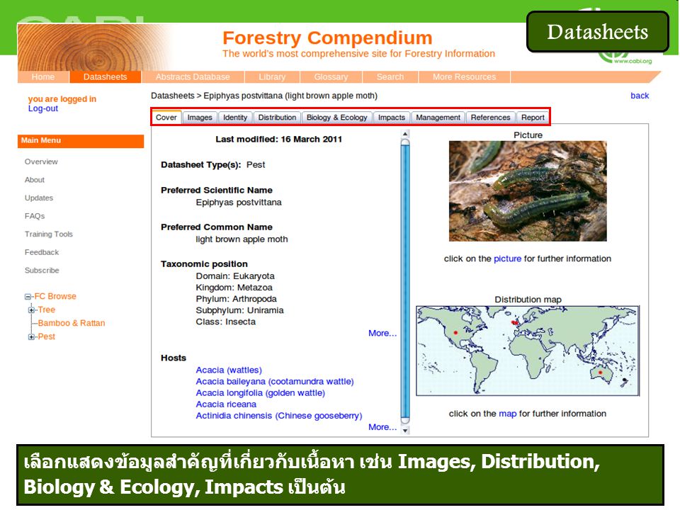 Datasheets เลือกแสดงข้อมูลสำคัญที่เกี่ยวกับเนื้อหา เช่น Images, Distribution, Biology & Ecology, Impacts เป็นต้น