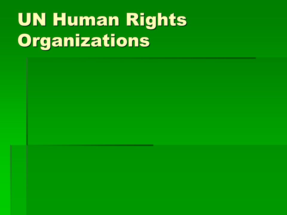 UN Human Rights Organizations