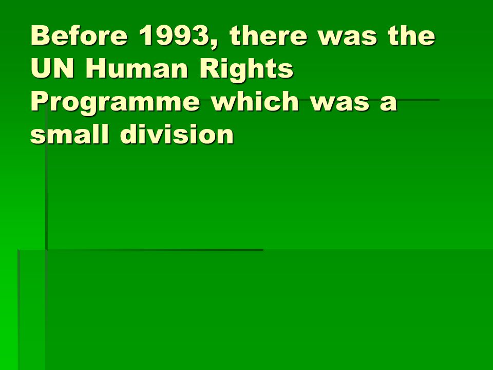 Before 1993, there was the UN Human Rights Programme which was a small division