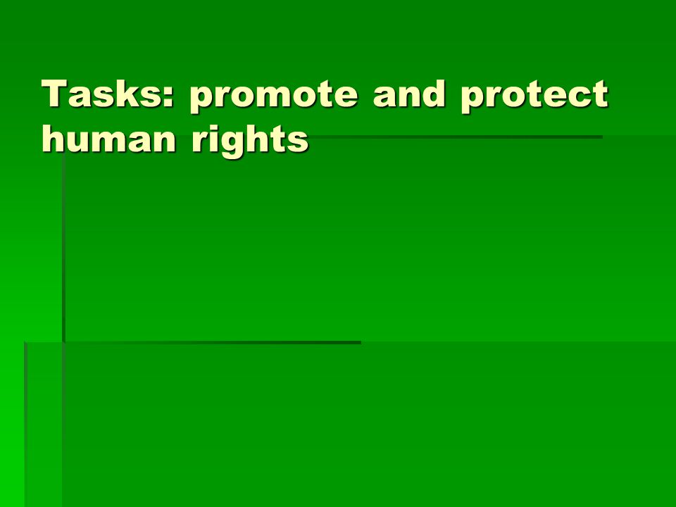 Tasks: promote and protect human rights