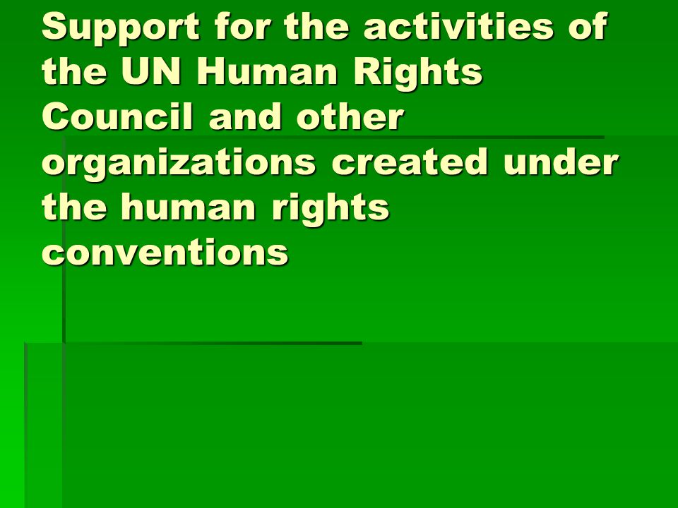 Support for the activities of the UN Human Rights Council and other organizations created under the human rights conventions