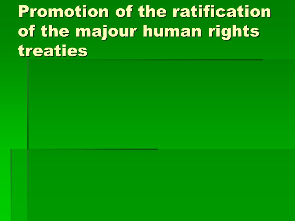 Promotion of the ratification of the majour human rights treaties