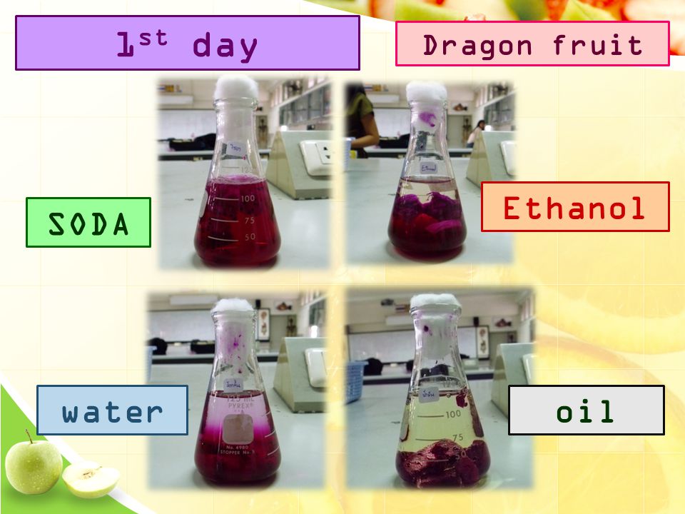 SODA Ethanol wateroil 1 st day Dragon fruit