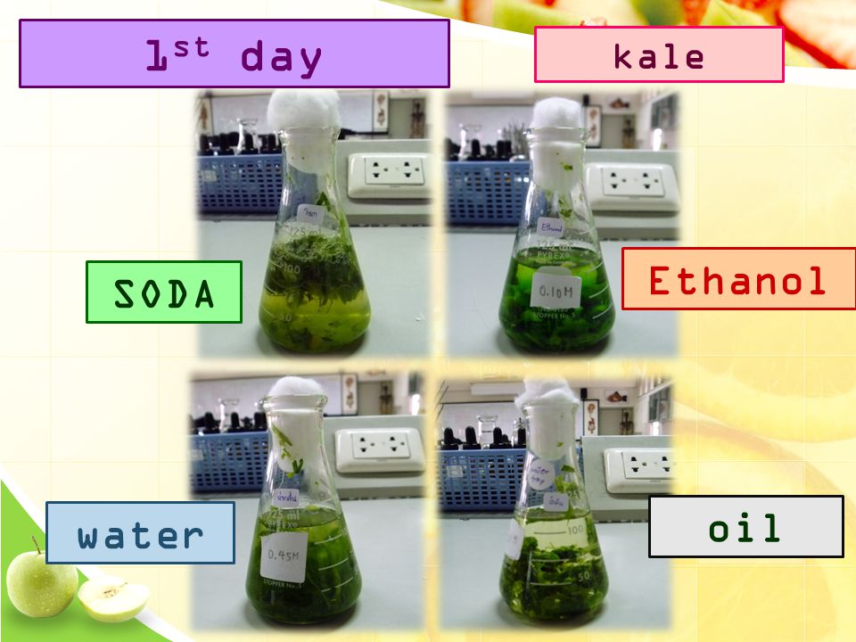 SODA Ethanol water oil 1 st day kale