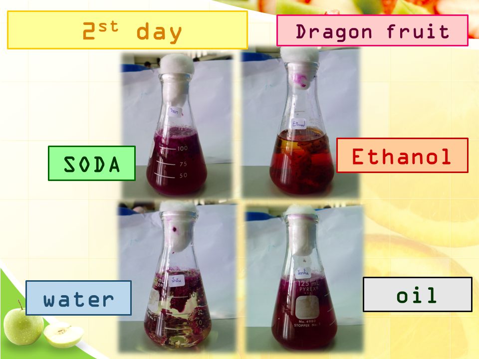 2 st day SODA Ethanol water oil Dragon fruit