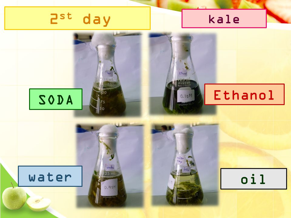 2 st day SODA Ethanol water oil kale