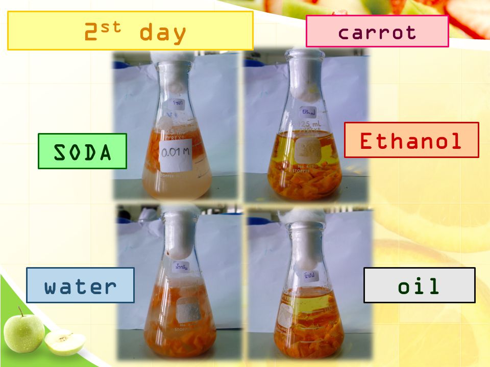 SODA Ethanol wateroil 2 st day carrot