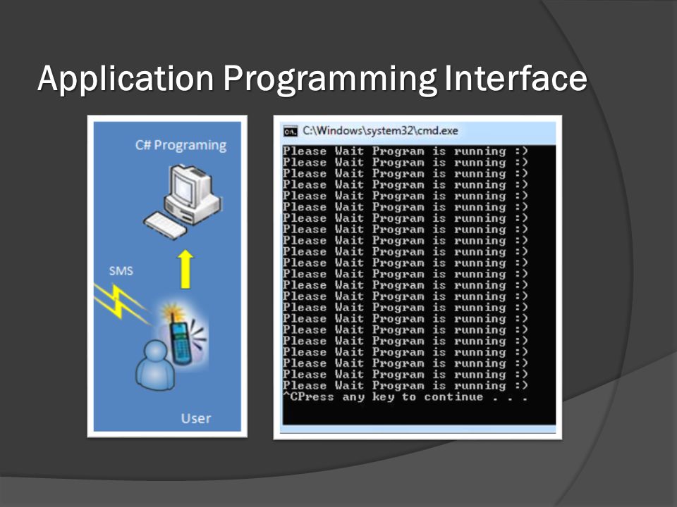 Application Programming Interface