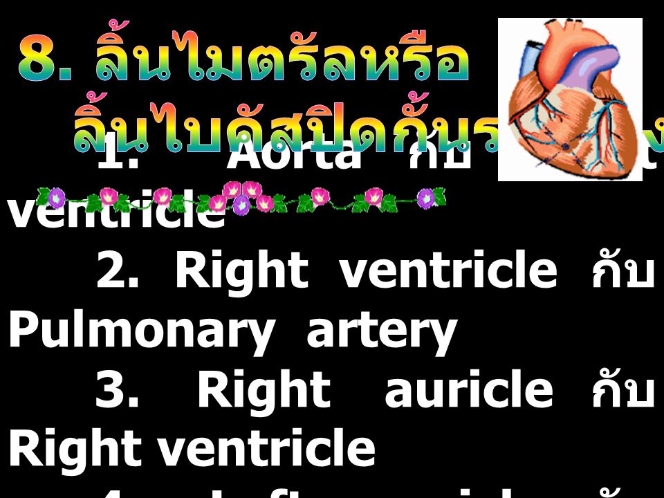 1. Aorta กับ Left ventricle 2. Right ventricle กับ Pulmonary artery 3.