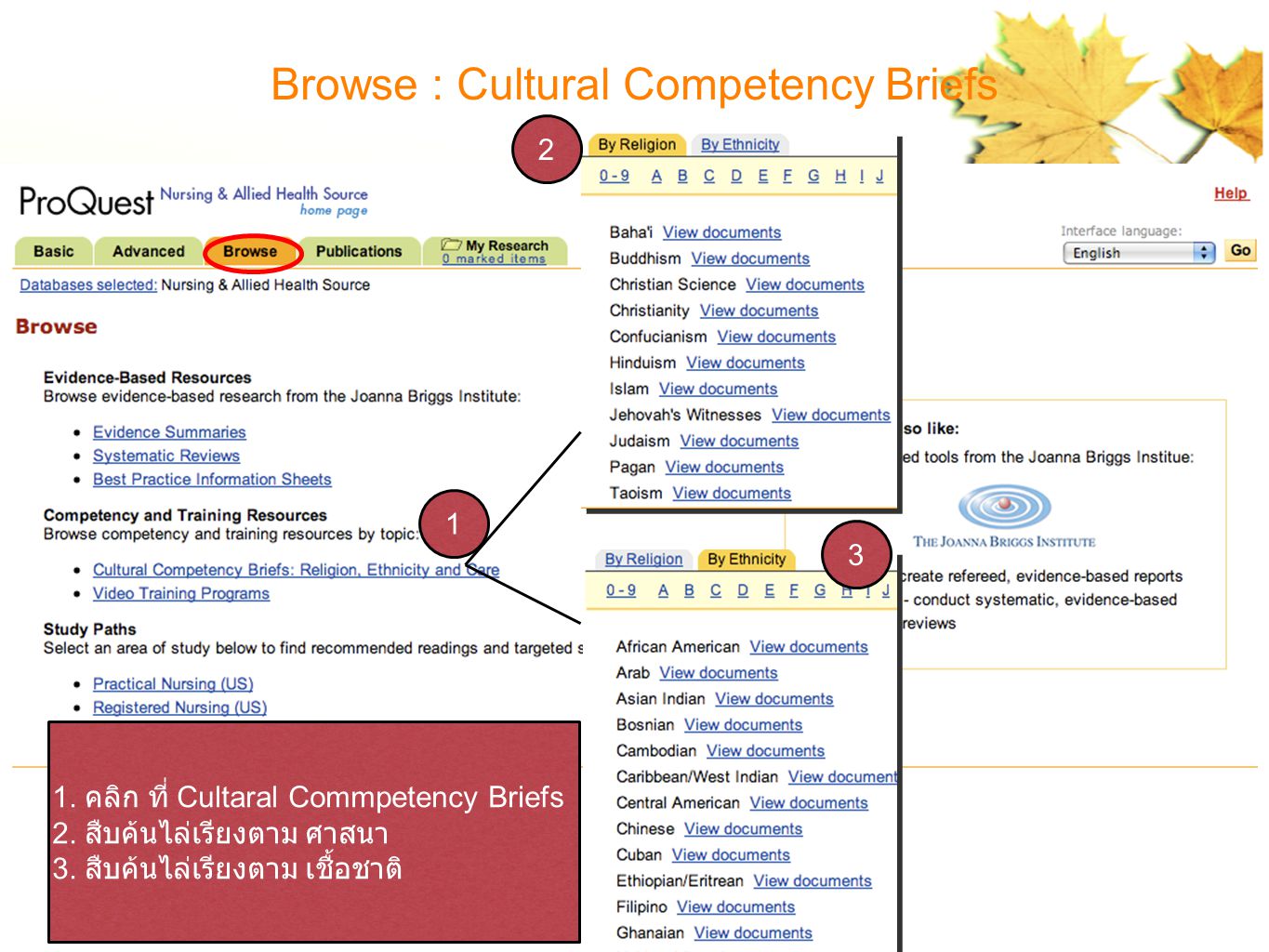 9 Browse : Cultural Competency Briefs คลิก ที่ Cultaral Commpetency Briefs 2.