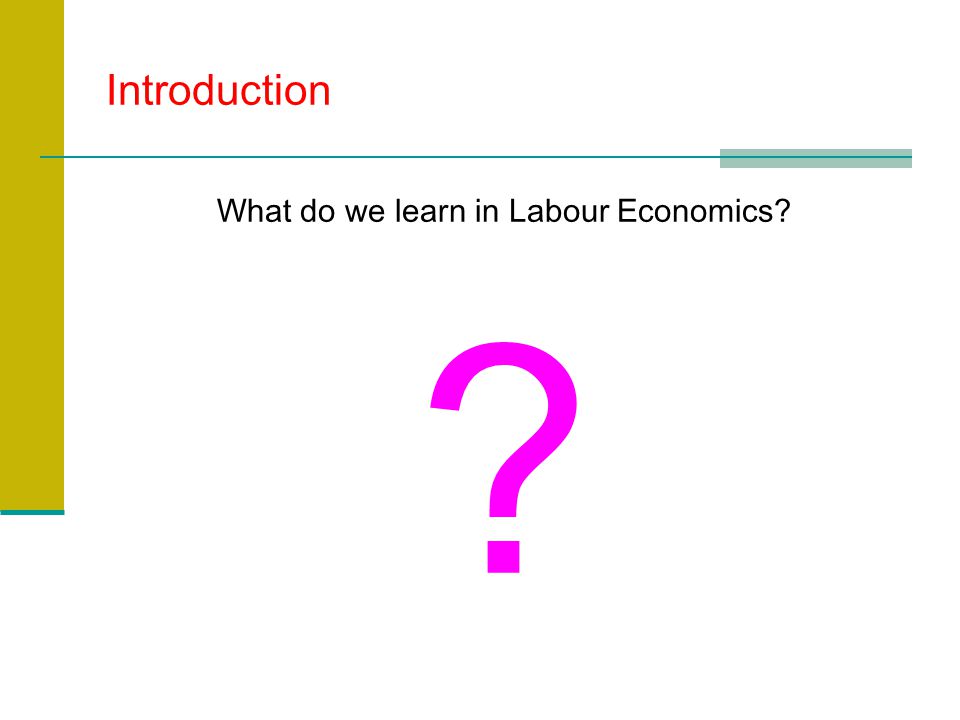 Introduction What do we learn in Labour Economics
