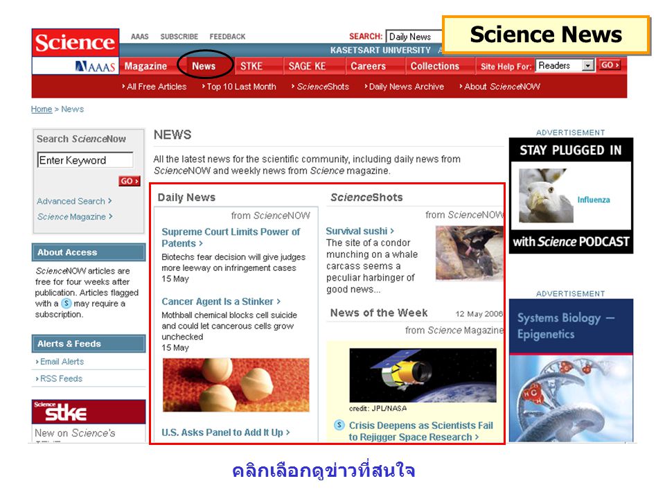 Science News คลิกเลือกดูข่าวที่สนใจ