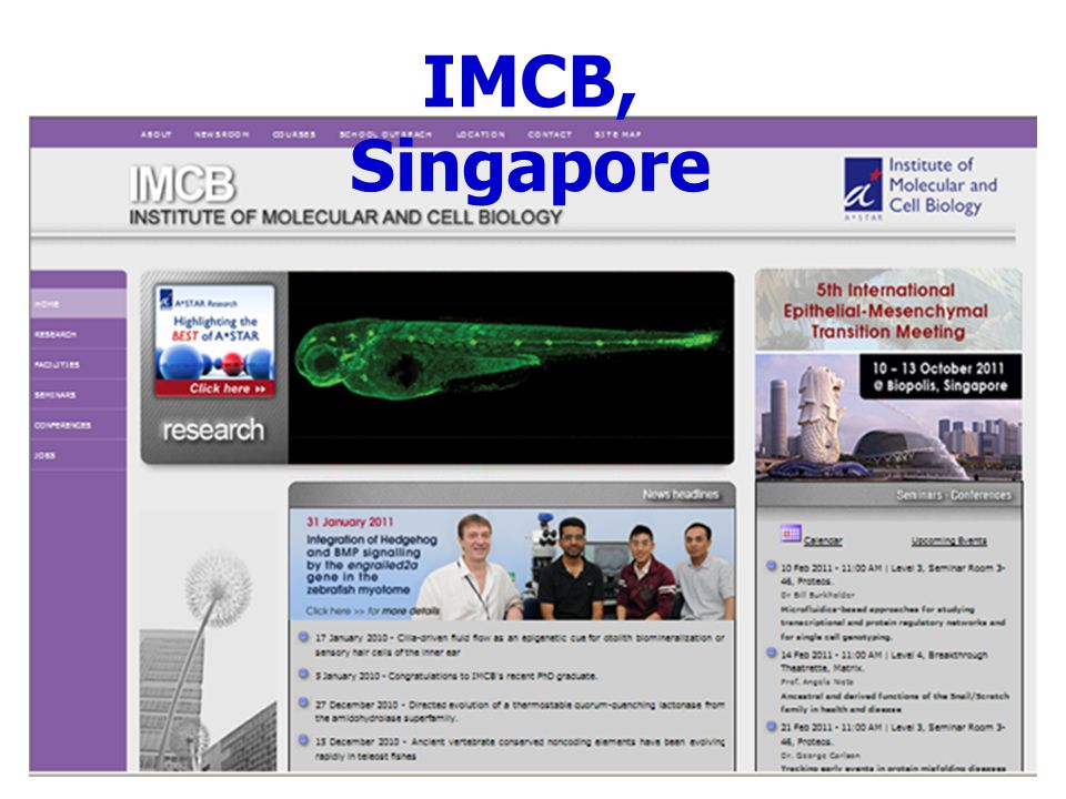 IMCB, Singapore