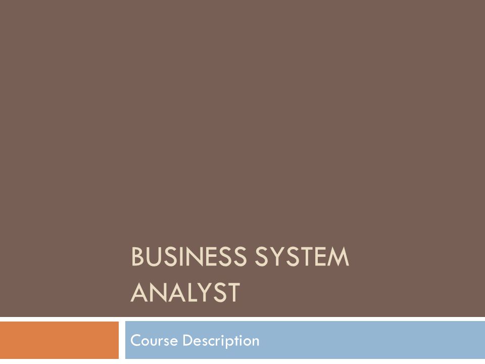 BUSINESS SYSTEM ANALYST Course Description