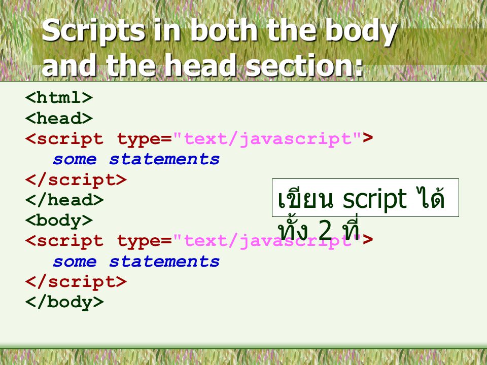 Scripts in both the body and the head section: some statements some statements เขียน script ได้ ทั้ง 2 ที่