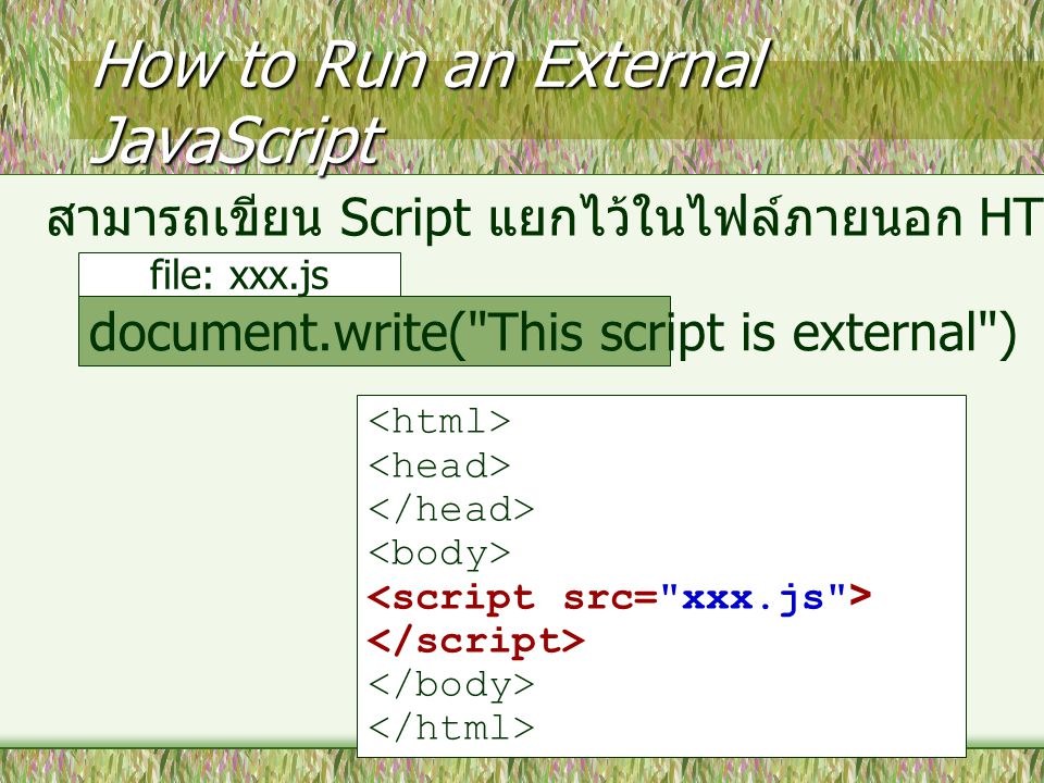 How to Run an External JavaScript สามารถเขียน Script แยกไว้ในไฟล์ภายนอก HTML ปกติจะตั้งเป็น.JS document.write( This script is external ) file: xxx.js