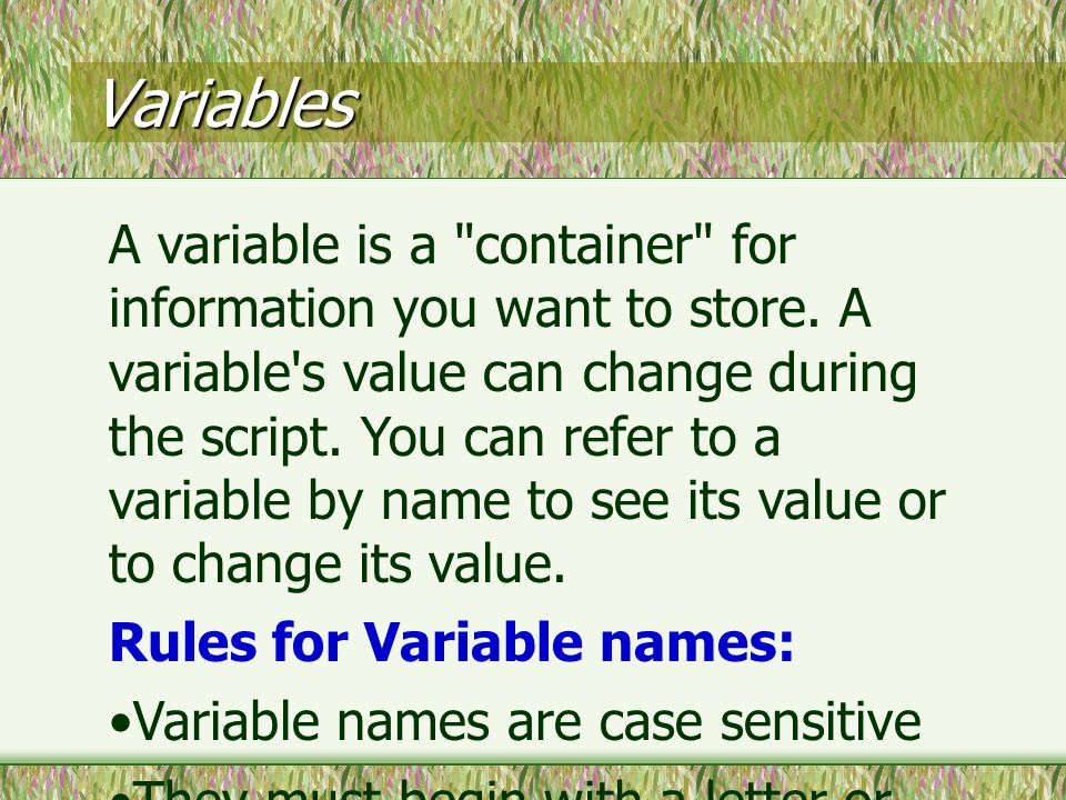 Variables A variable is a container for information you want to store.