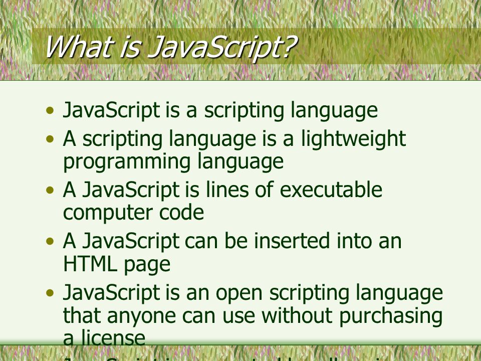 What is JavaScript.