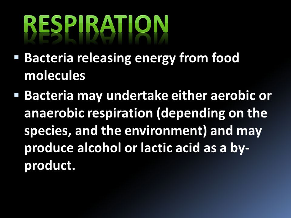  Bacteria releasing energy from food molecules  Bacteria may undertake either aerobic or anaerobic respiration (depending on the species, and the environment) and may produce alcohol or lactic acid as a by- product.