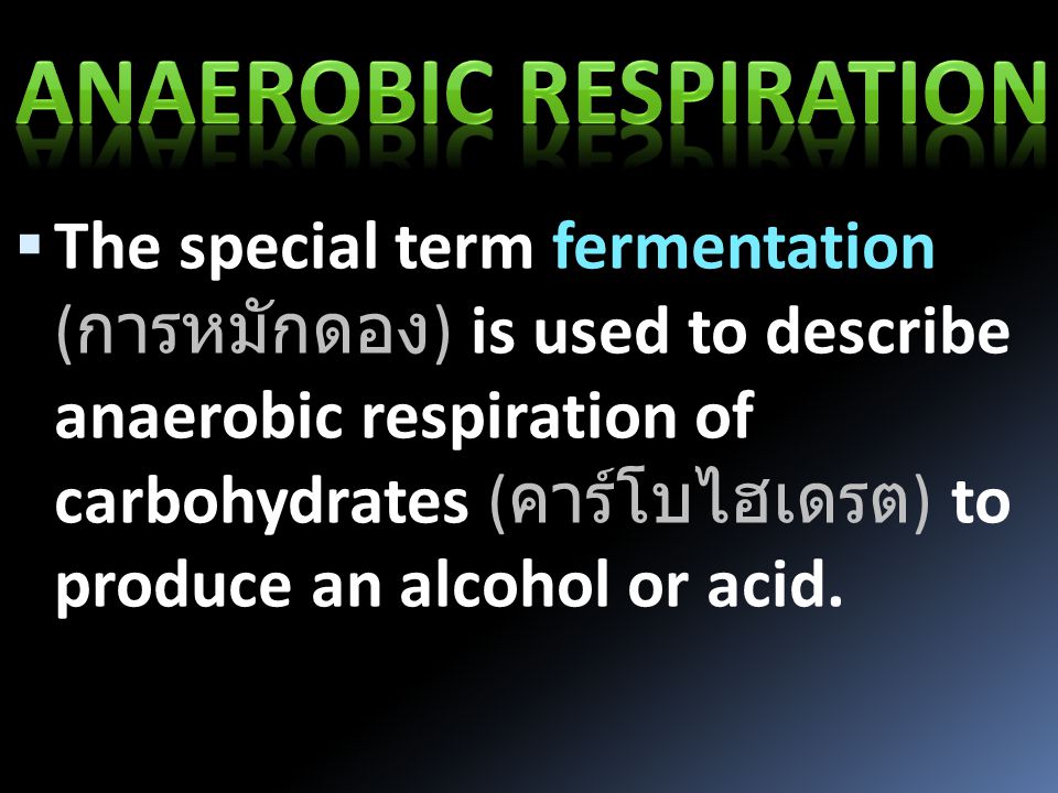  The special term fermentation ( การหมักดอง ) is used to describe anaerobic respiration of carbohydrates ( คาร์โบไฮเดรต ) to produce an alcohol or acid.