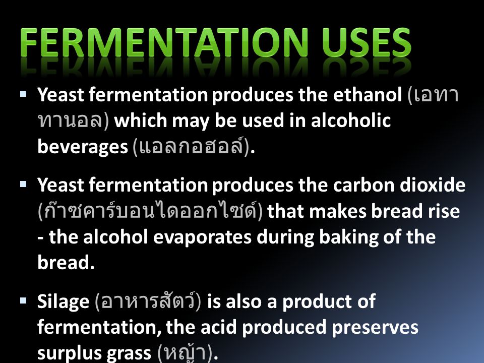  Yeast fermentation produces the ethanol ( เอทา นอล ) which may be used in alcoholic beverages ( แอลกอฮอล์ ).